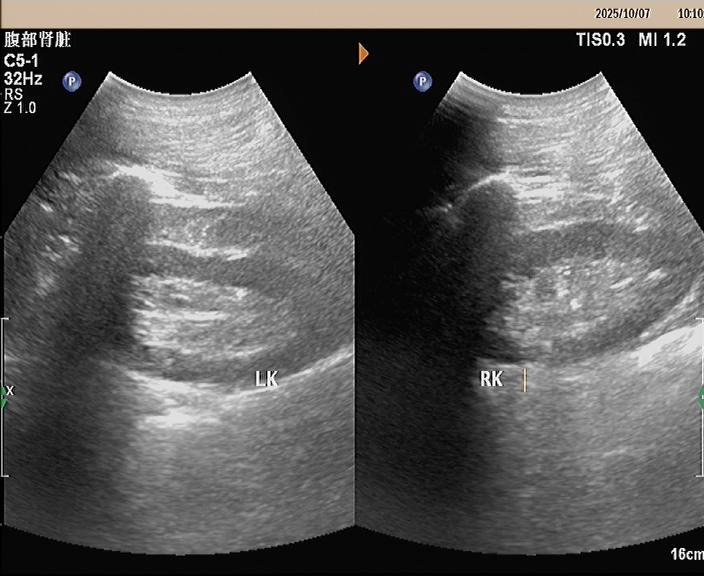 1762481948842208.png image.png