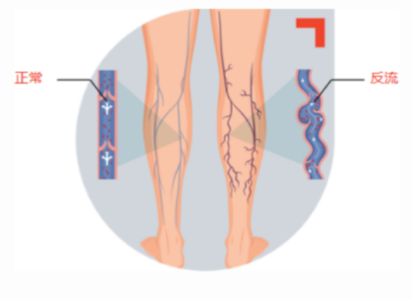 1762499998206491.png image.png